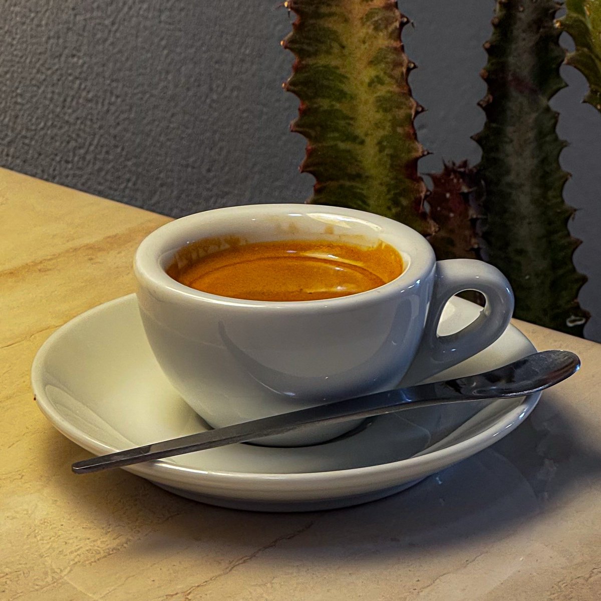 قهـــ دوام ـــوة