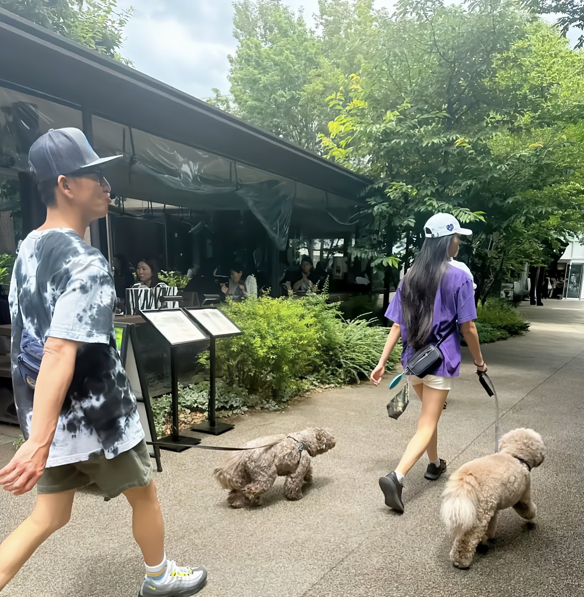 Shuraifa haf tweet media