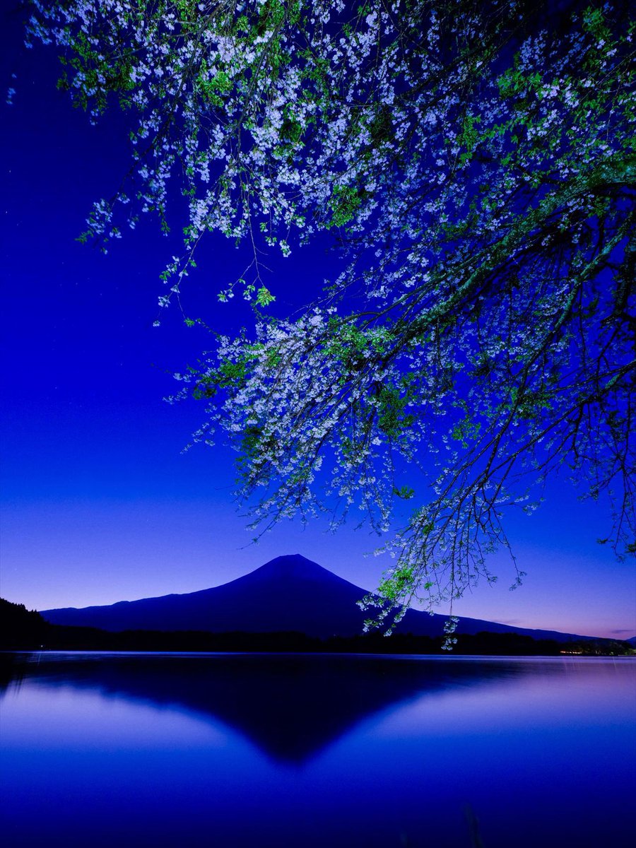 fujiyama tweet media