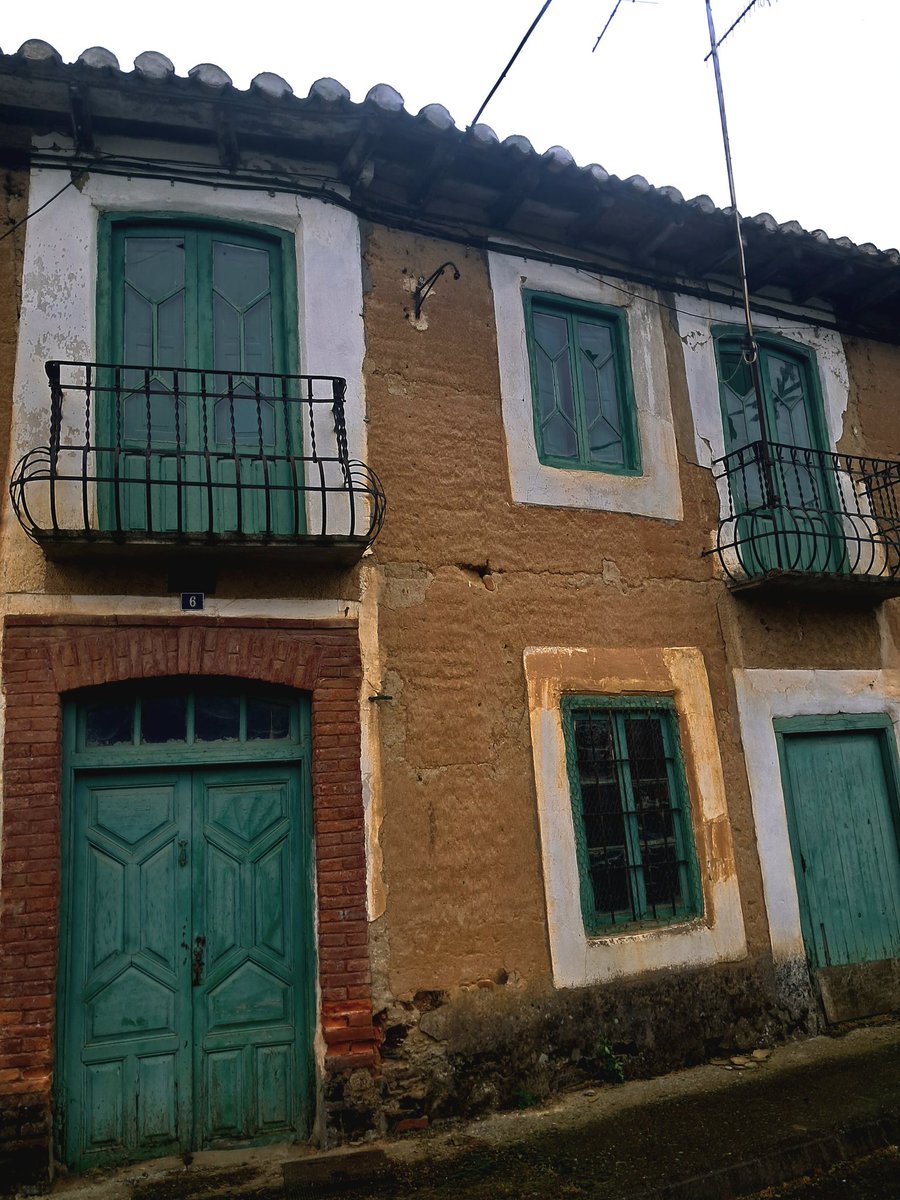 dani 🌋🟥🇻🇳🌱🌱 tweet media