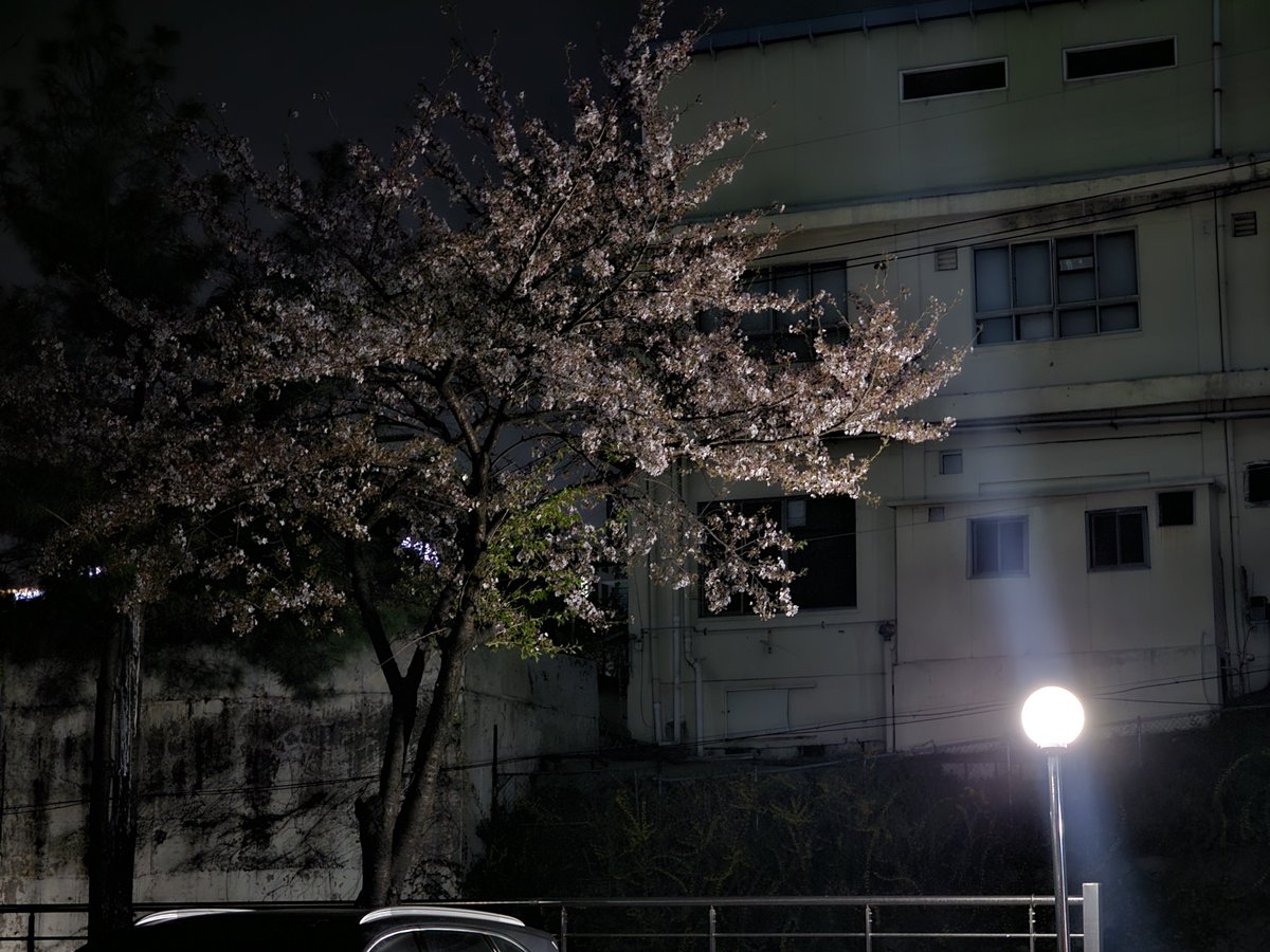 쥬리👾💨 tweet media