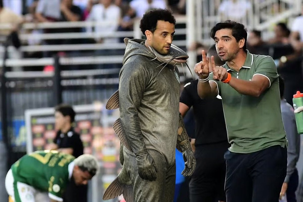 Bom dia  seus sleep Anderson ! 🐠🐠