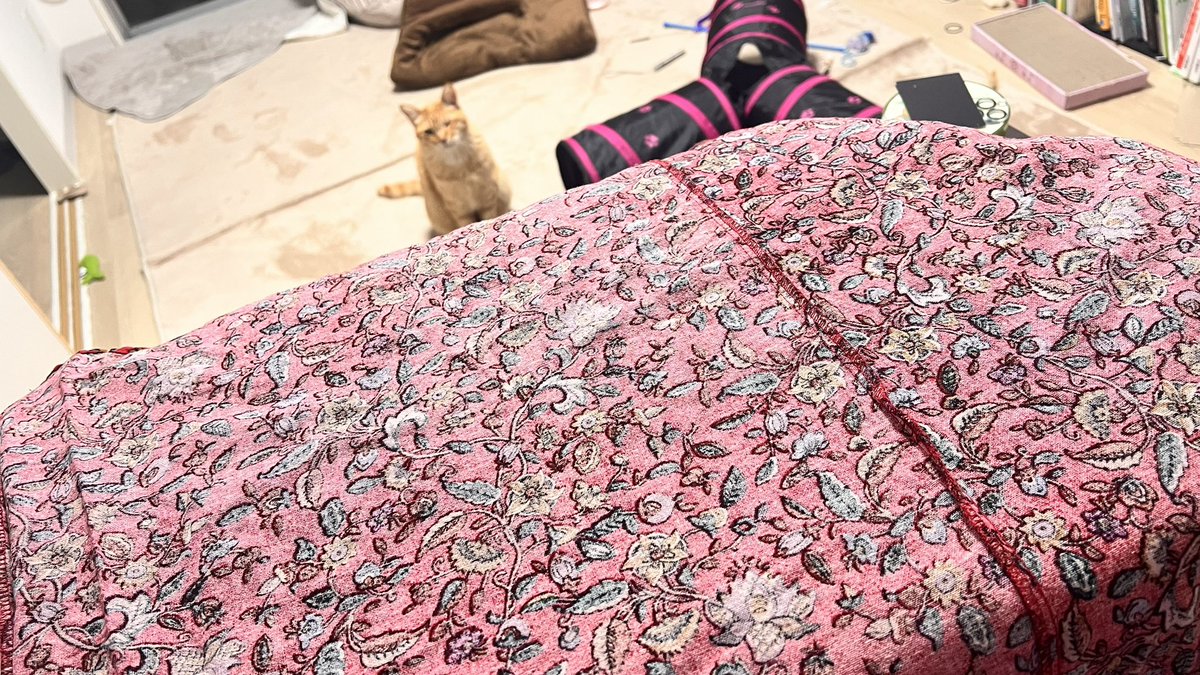 Padme the Bambi 🦌 tweet media