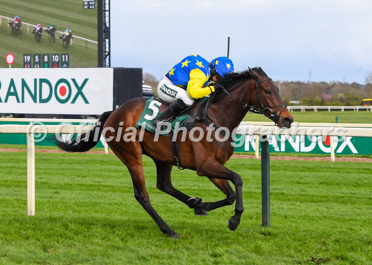 OfficialPhotographers tweet media