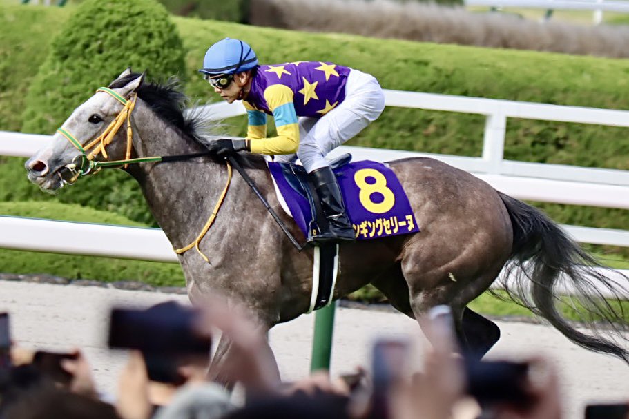 𝔂𝓪𝓴𝓪𝔃𝓾 tweet media