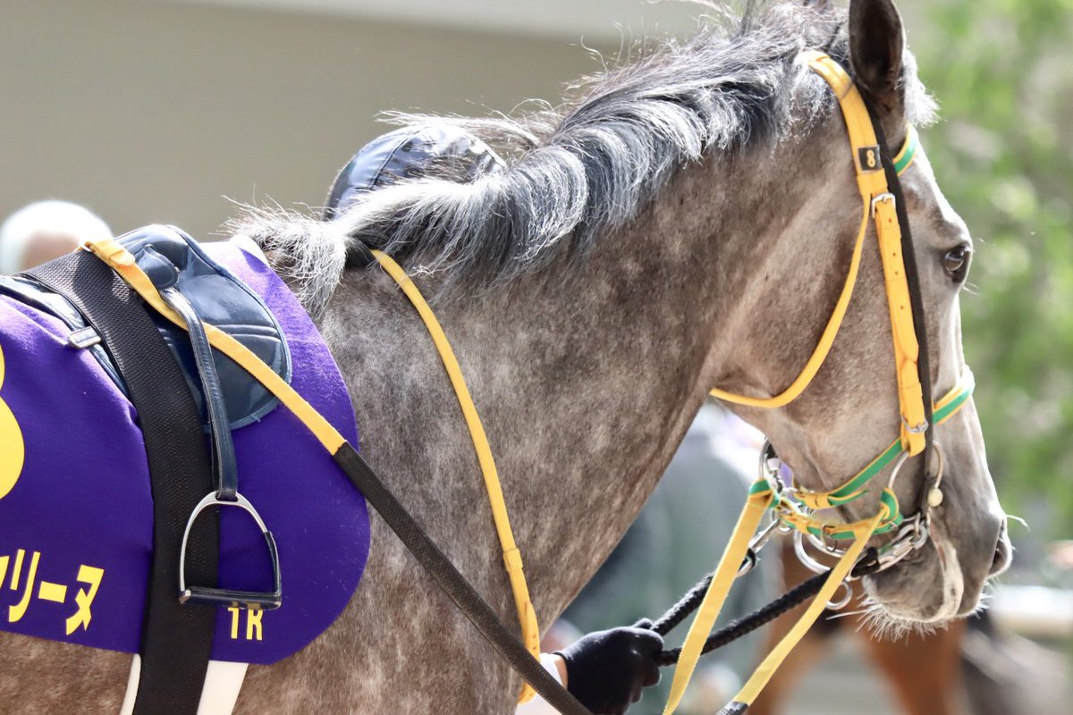 𝔂𝓪𝓴𝓪𝔃𝓾 tweet media