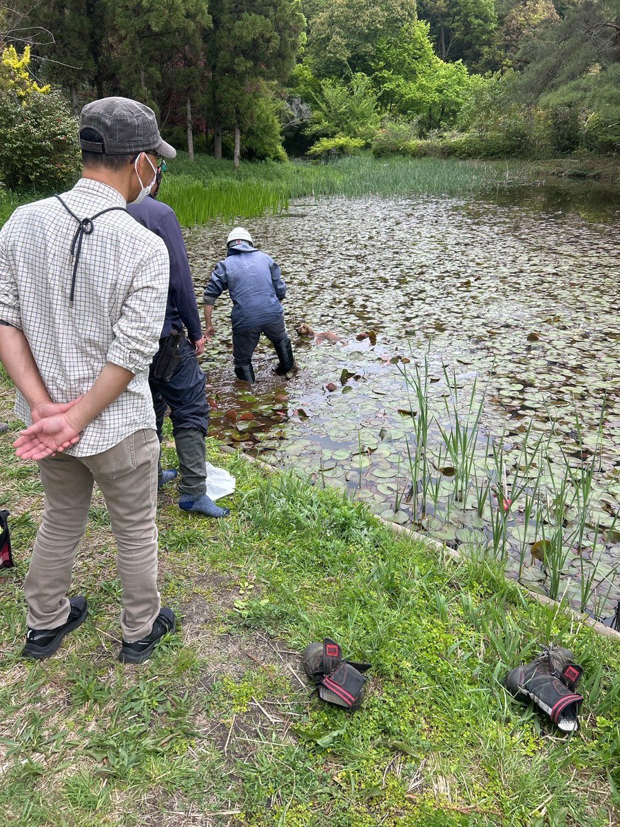 ヤマレン tweet media