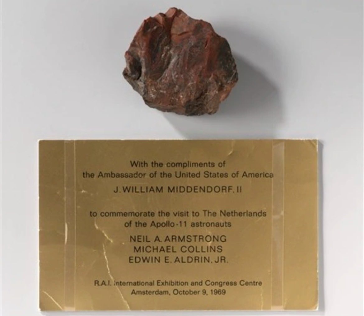 Mr. Whale tweet media