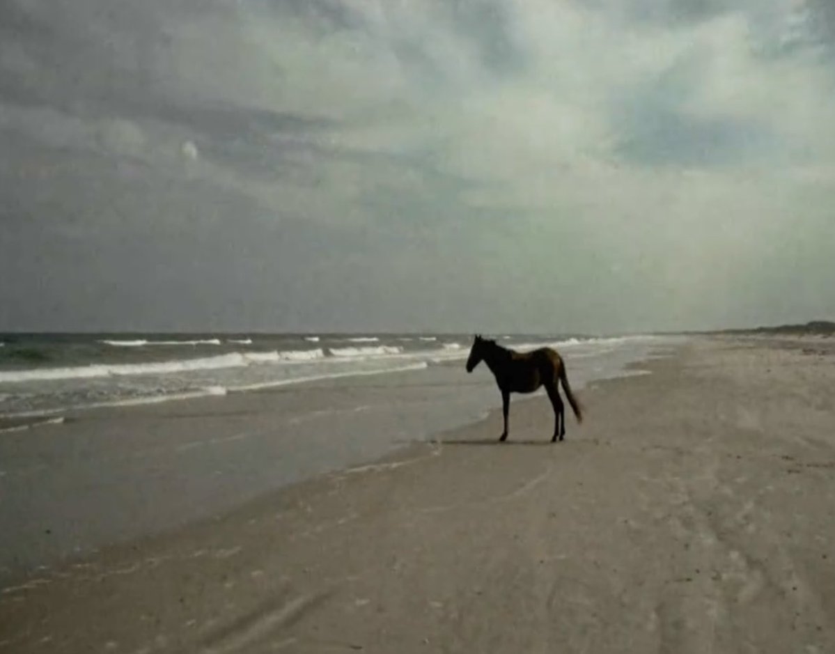 josh (@joshreyli) on Twitter photo 