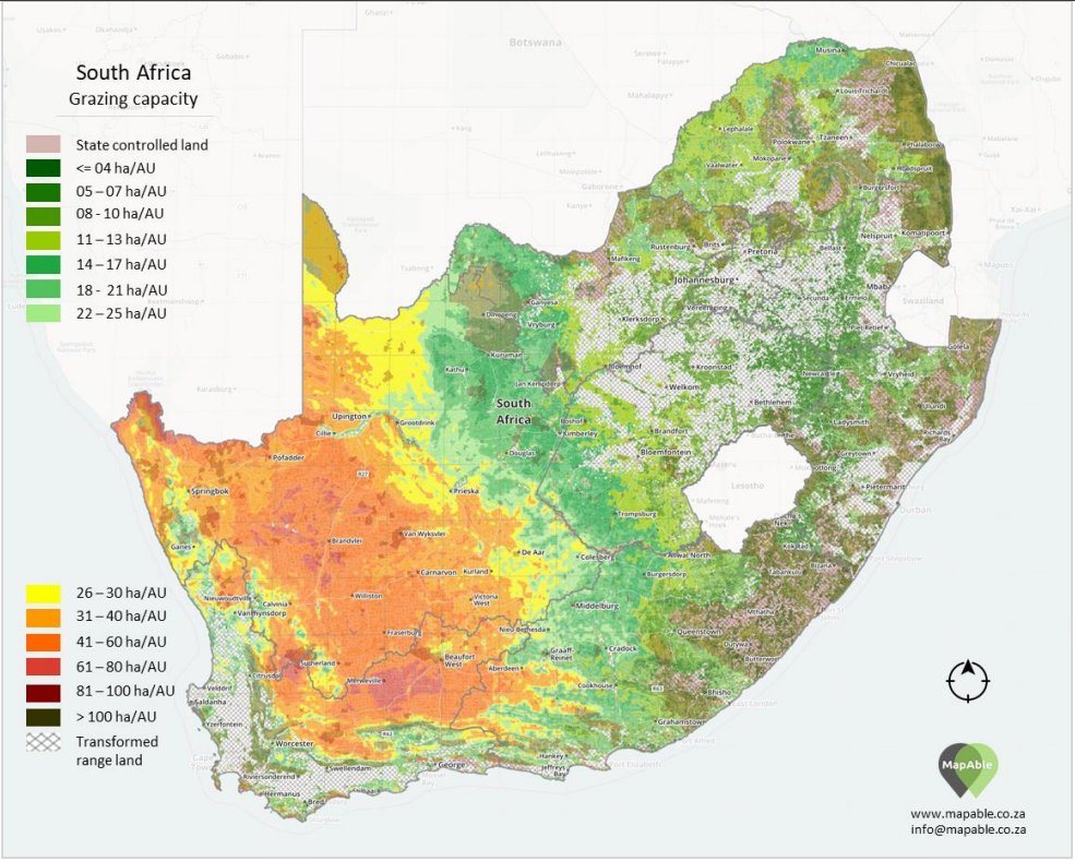 Conscious Caracal 🇿🇦 tweet media