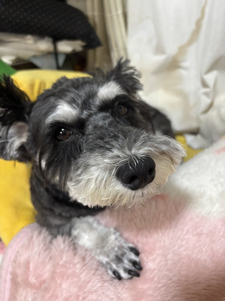 ふれさん tweet media