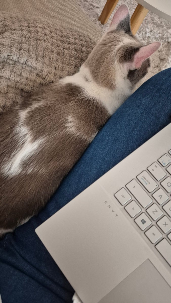 Nay. 🙂‍↔️ tweet media