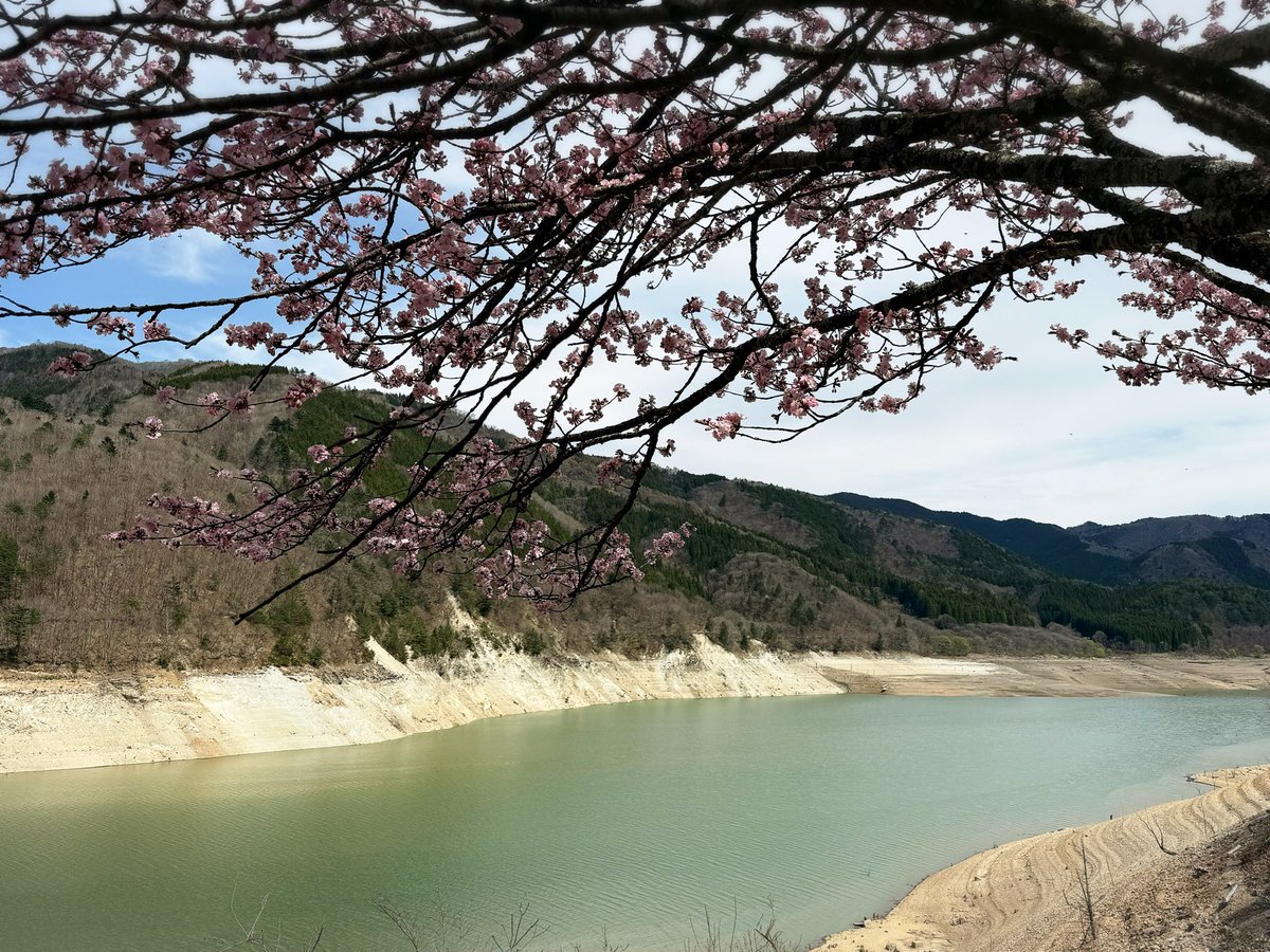 cнιℓιριℓιcσ♥チリピリ子 tweet media