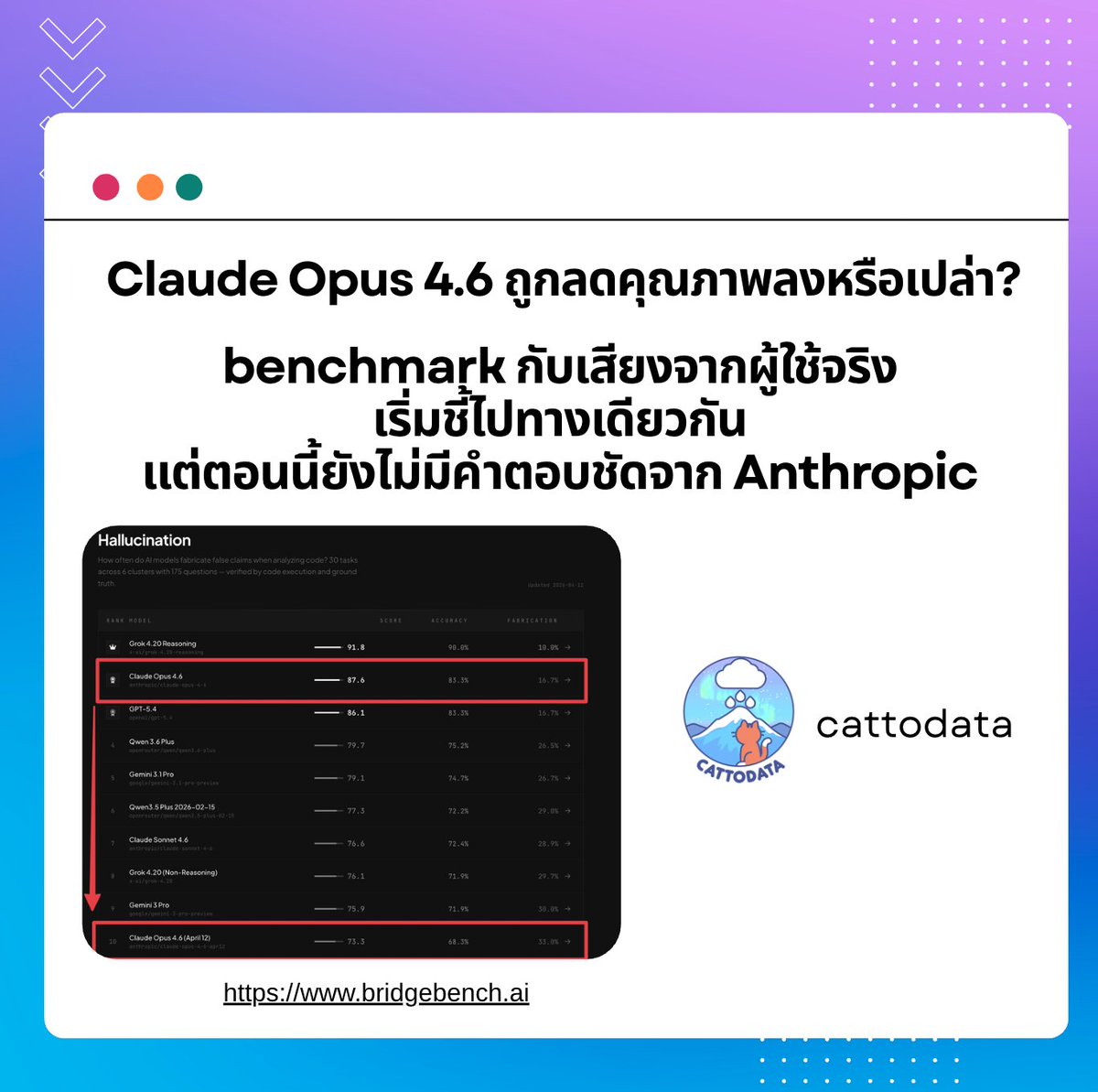cattodata🐱📊 tweet media