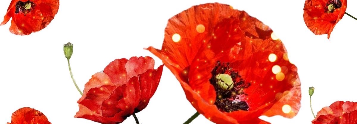 jiji 🐞 tweet media