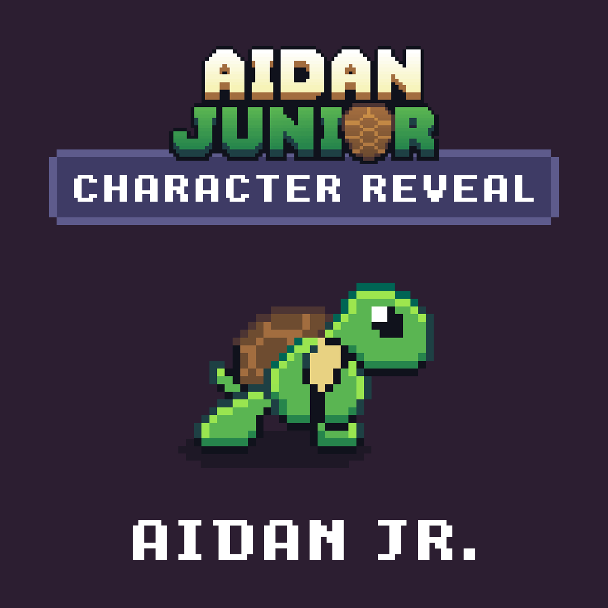 Aidan Junior tweet media