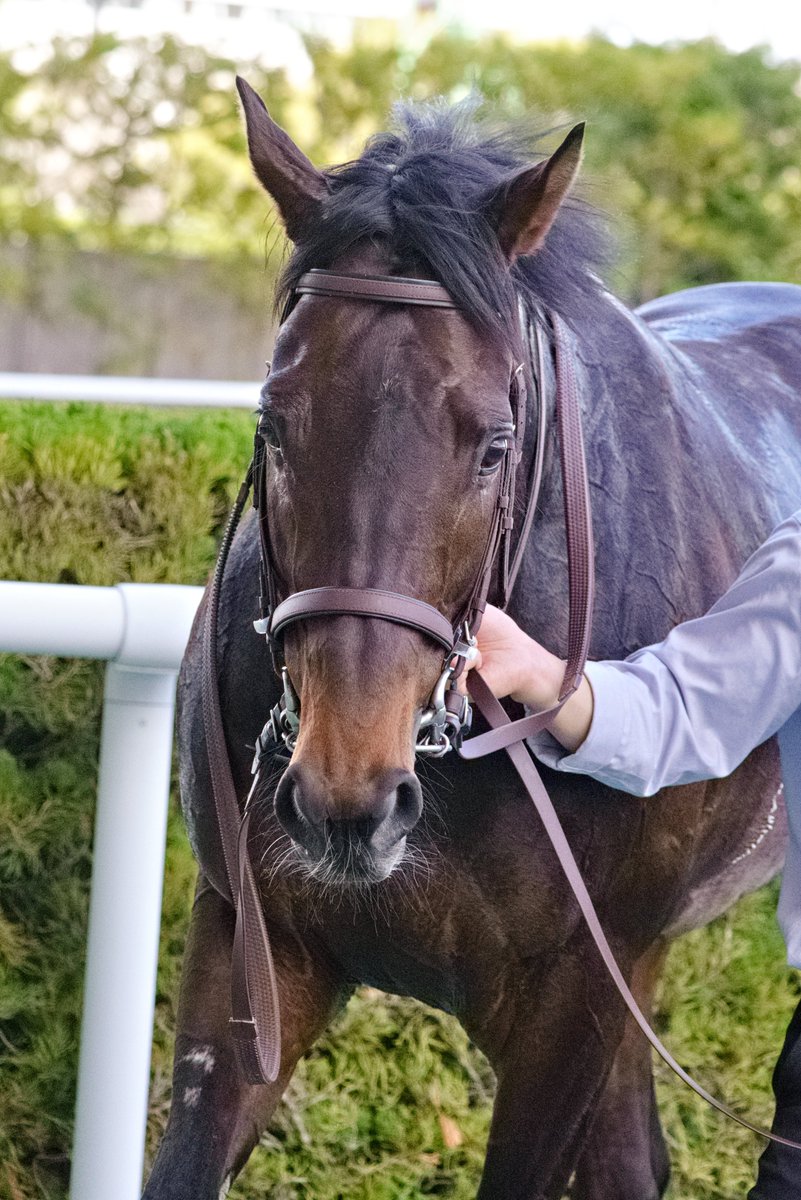 モス！ tweet media