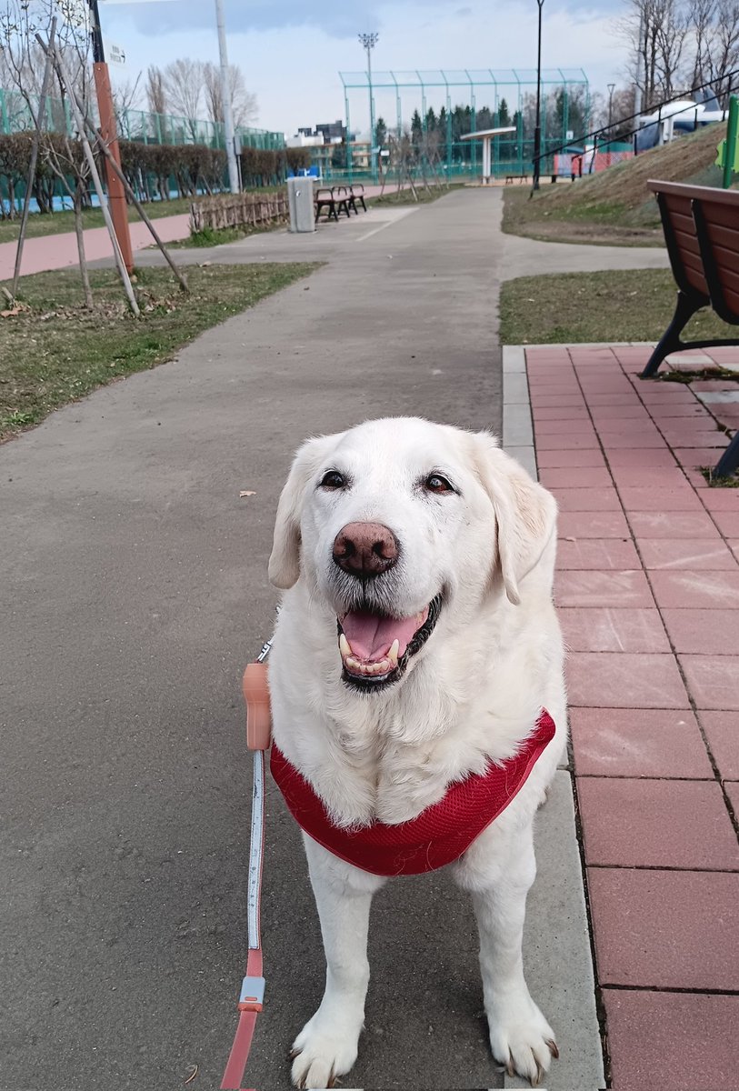 ヴァレリーLove tweet media