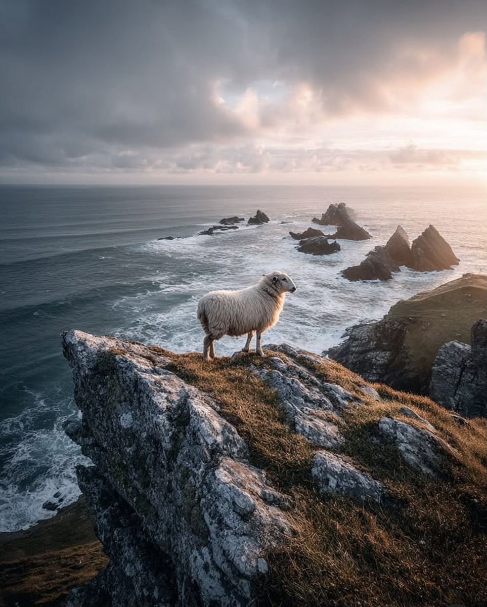 JulieParker144's tweet image. I thank the Lord for all he has done in my life and in the lives of all the followers of #Christ. 

He prayed to the Father to make us one even as he and the Father are one: in mind, will and spirit.

Judges 5:11 ...there shall they rehearse the righteous acts of the LORD, even