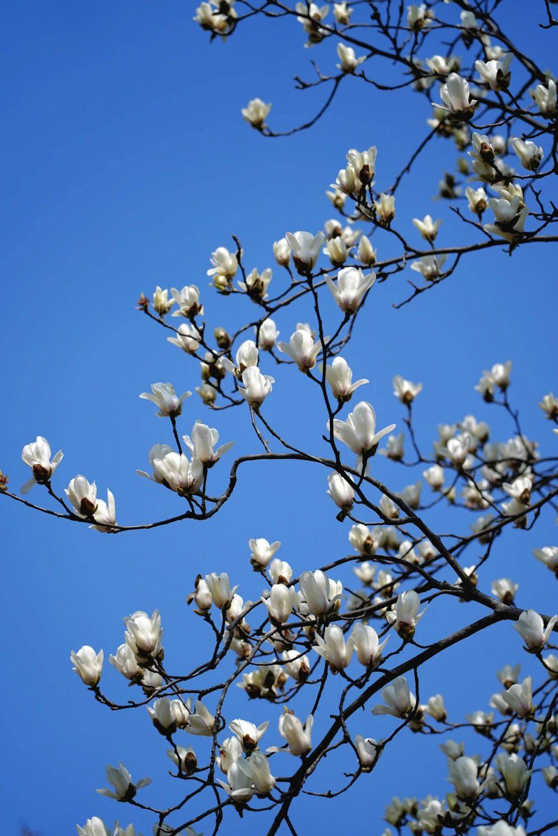 Mildred Umbarger tweet media