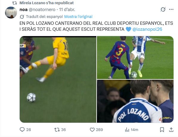 Bernat Castro 🦊 tweet media