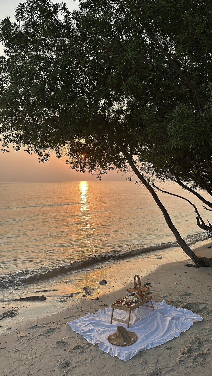 ‏قشطهَ tweet media