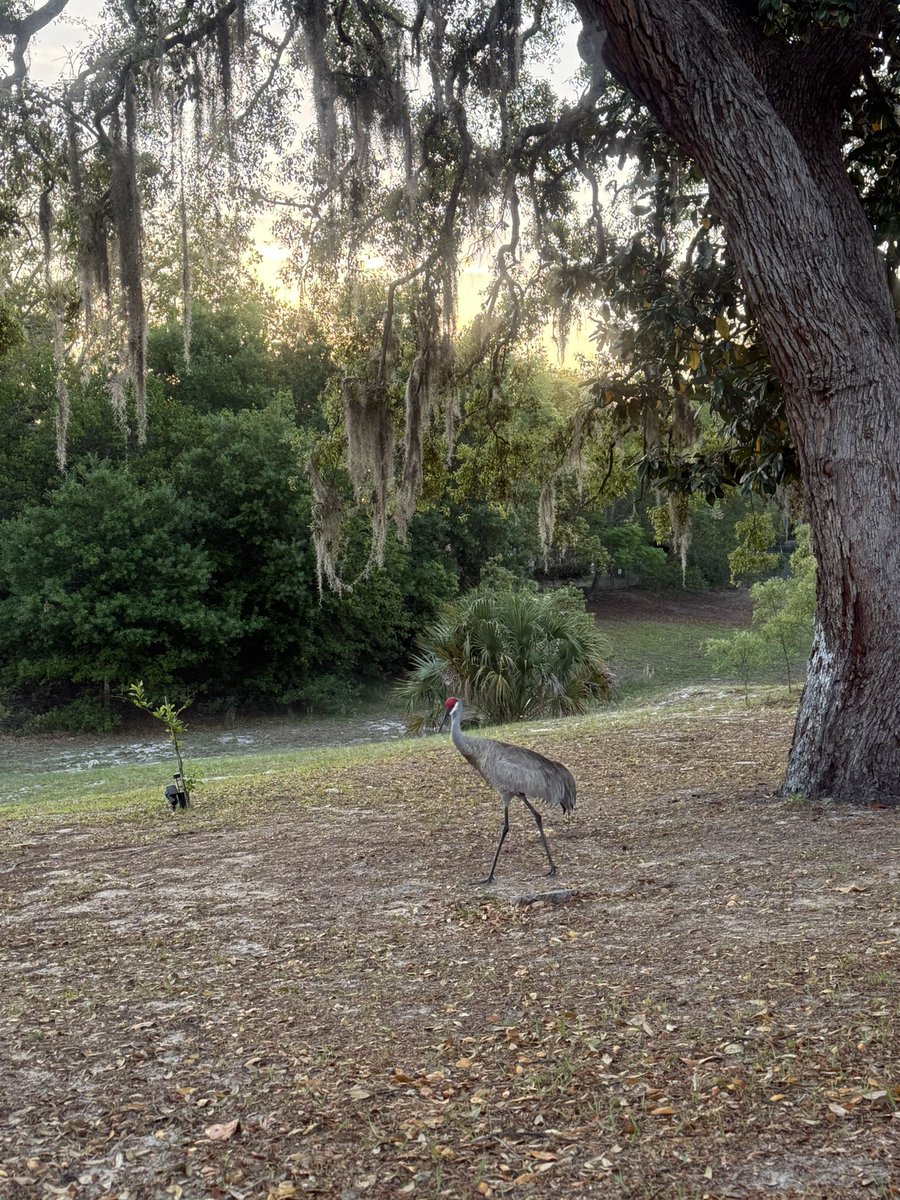 🇺🇸 Dave 🇺🇸 tweet media