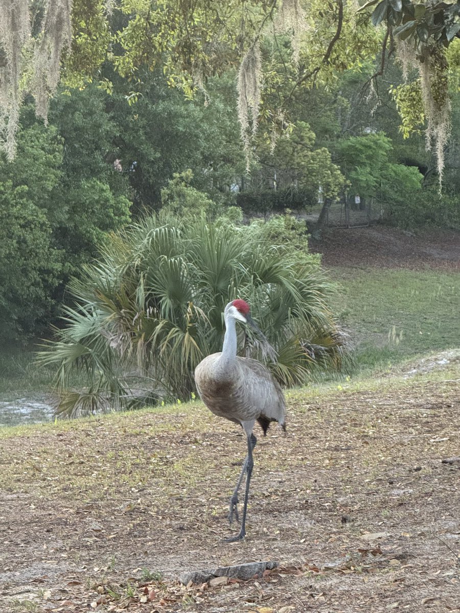 🇺🇸 Dave 🇺🇸 tweet media