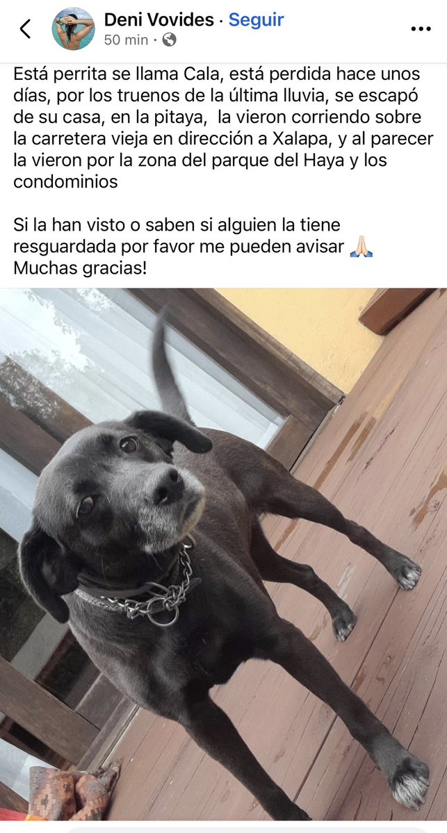 ANGIE COLUNGA tweet media