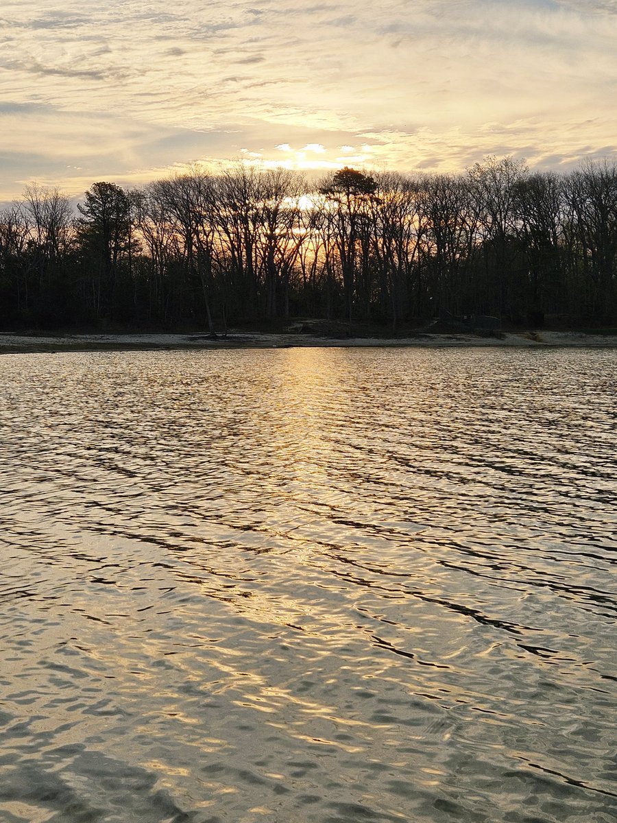 Dave 1411 tweet media