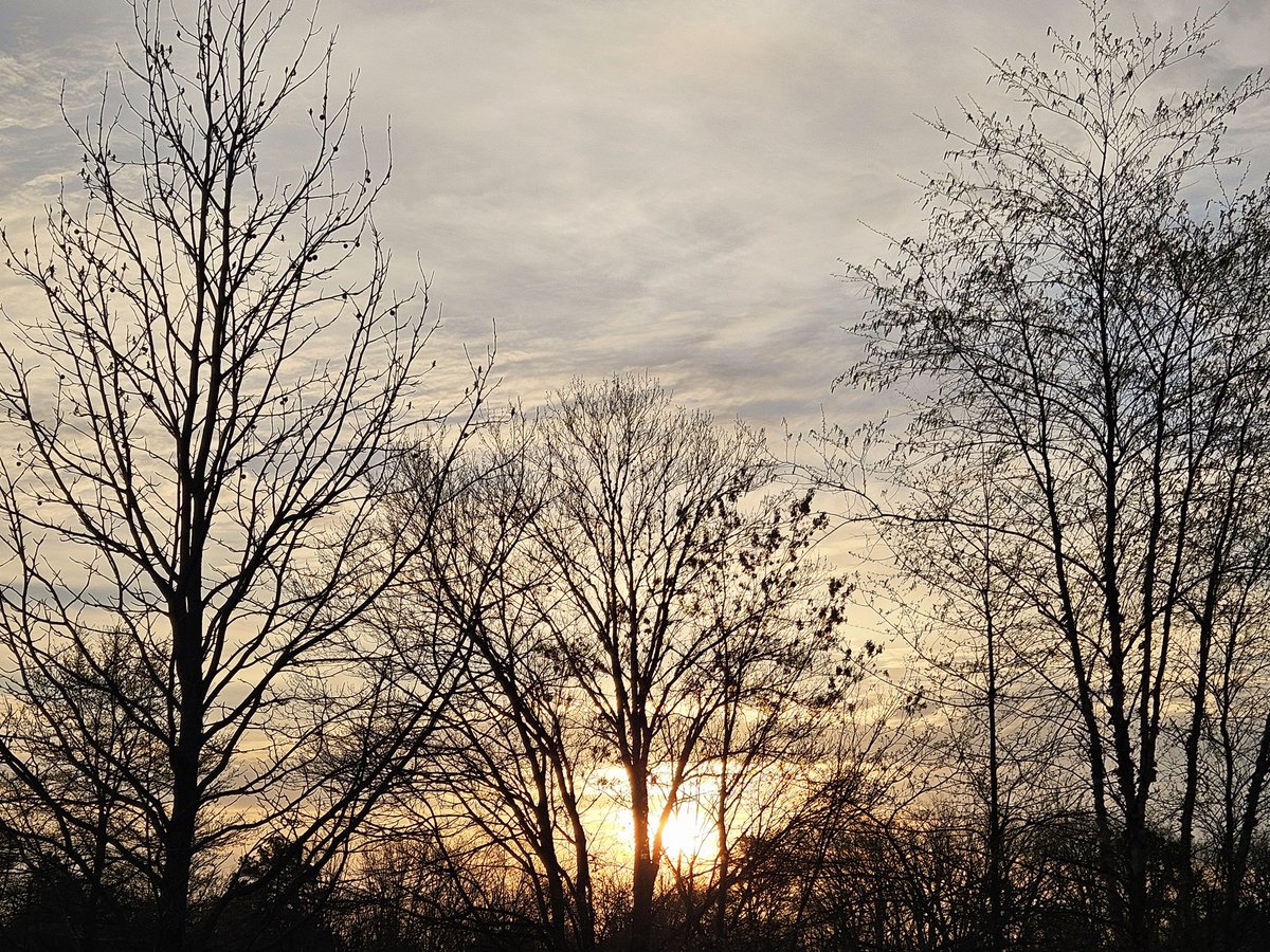 Dave 1411 tweet media