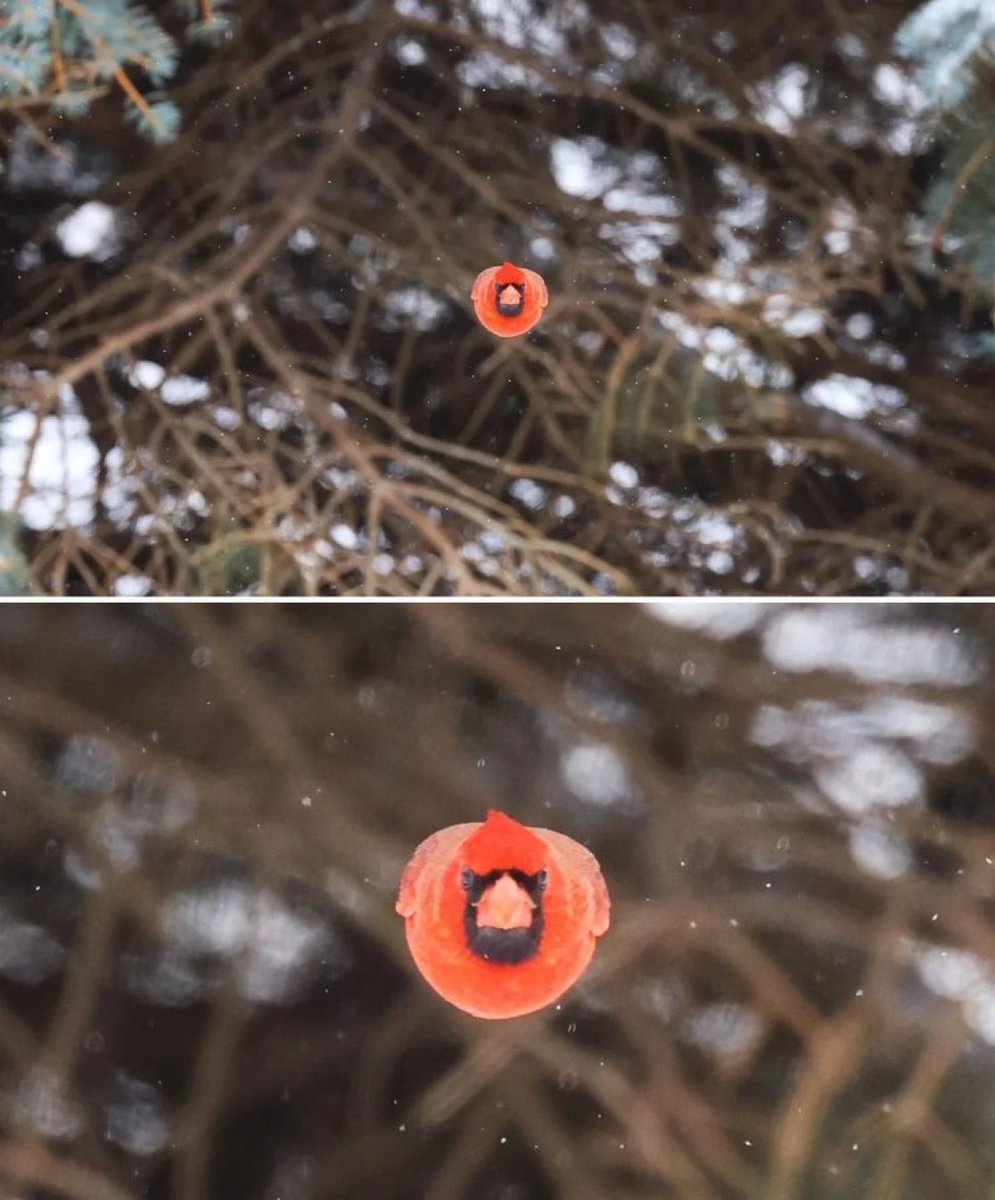 positive side of X 🌞 tweet media