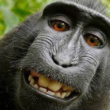 Enzo Marini tweet media