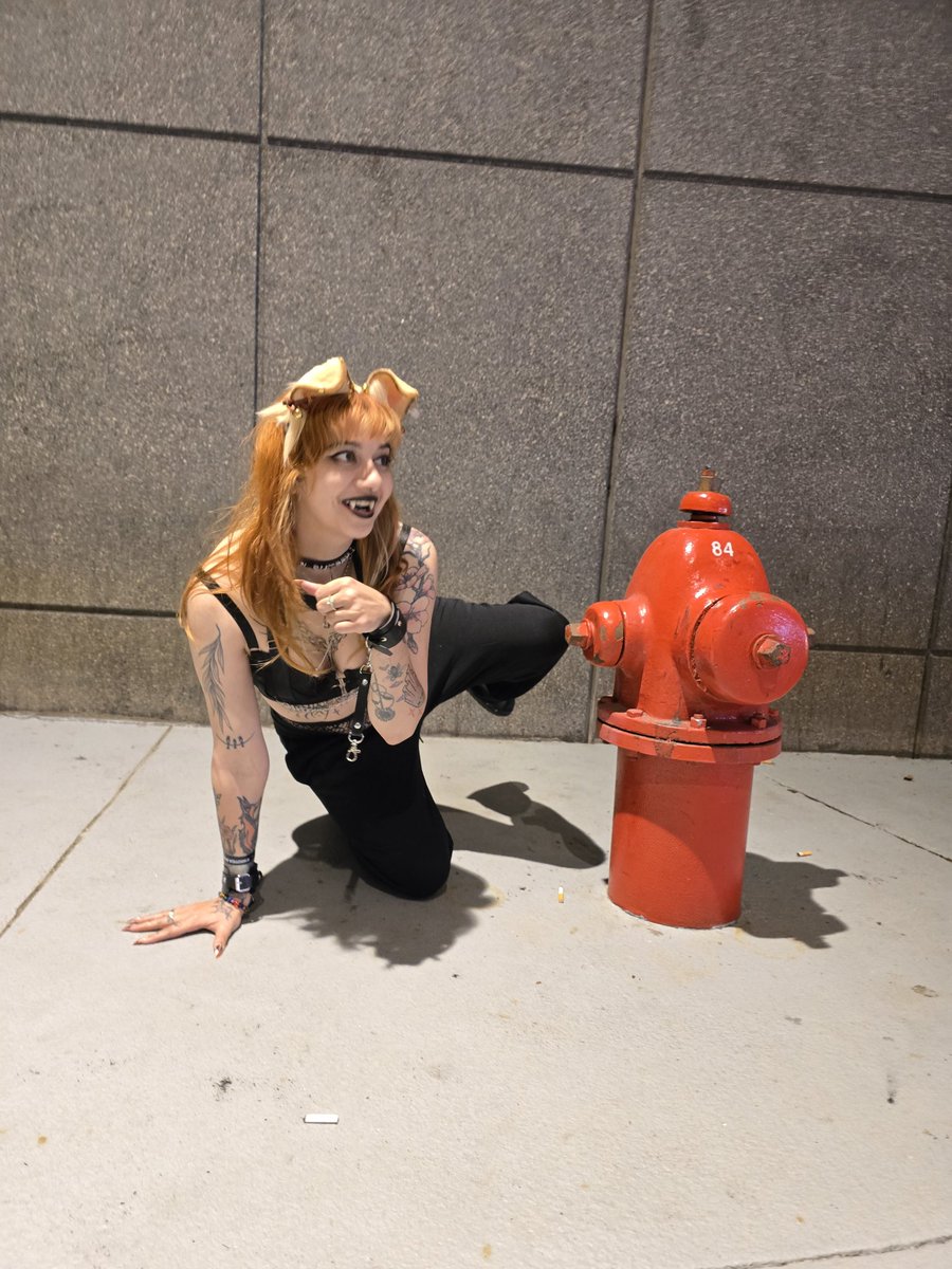 🖤 Inara 🖤 tweet media