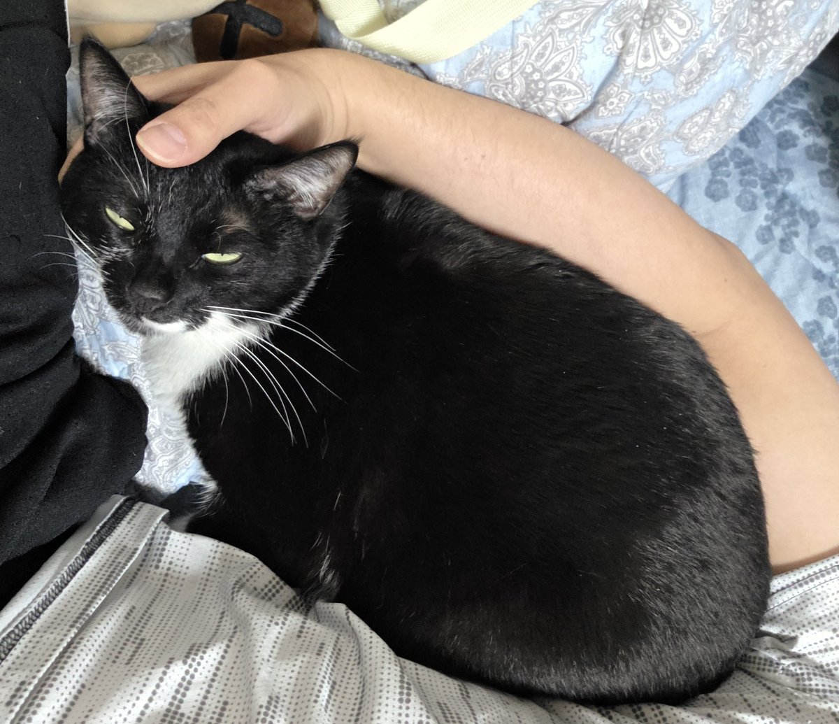 강라푸토르 tweet media