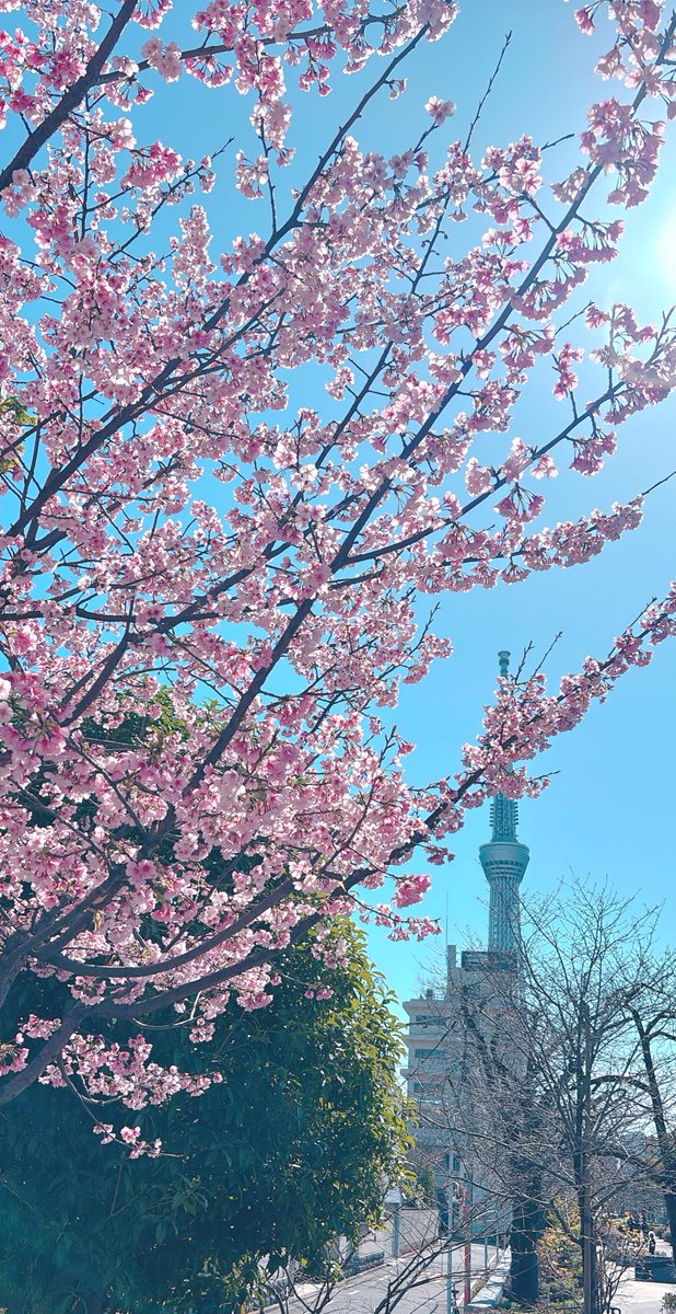 アール tweet media