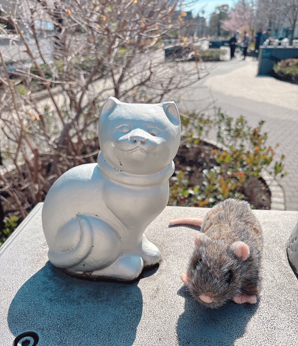 アール tweet media