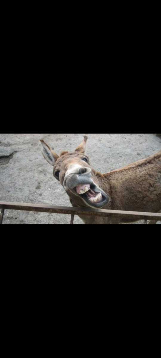 oliviasahin tweet media