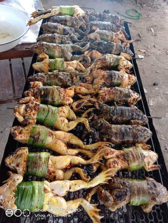 Moyosore tweet media