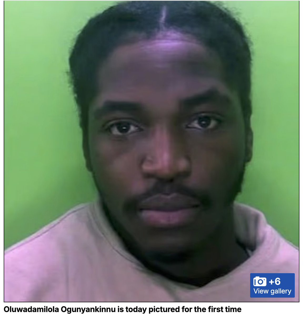 crashcriscrash tweet media