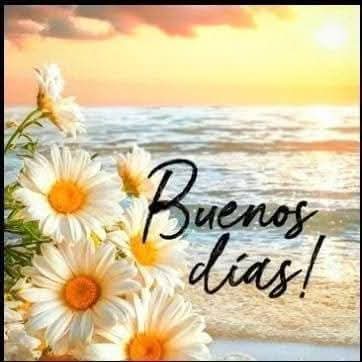 Maria GomezAmparo tweet media