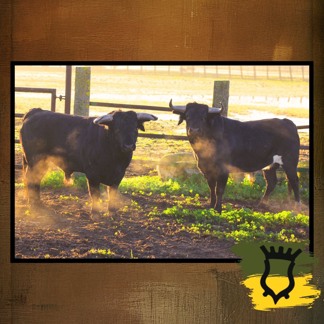 3Puyazos tweet media