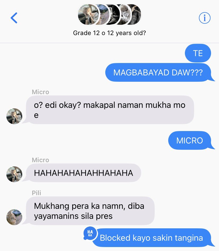 ixii 𝄞 zen tweet media