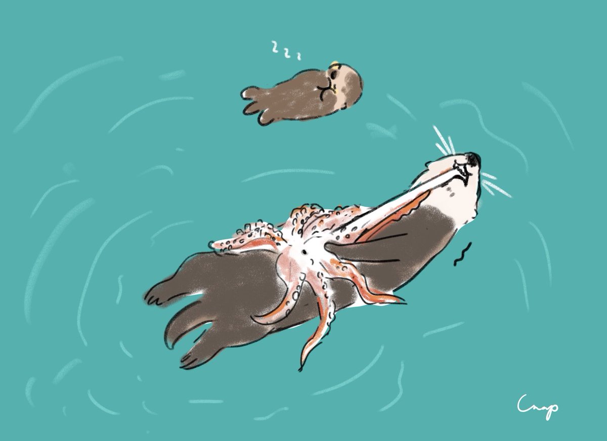 チナップ｜ほっこり動物イラストレーター tweet media