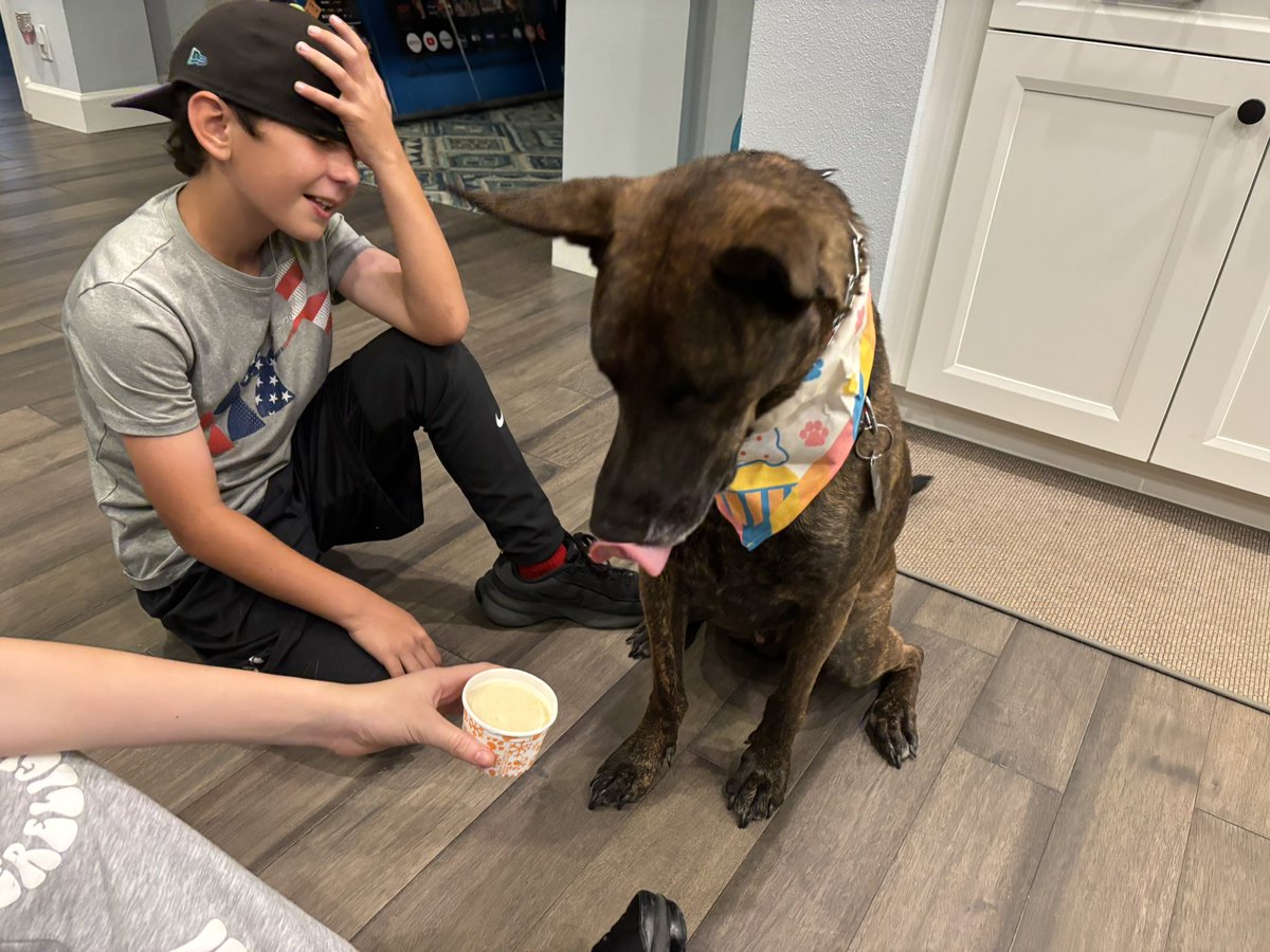 Layla Collins tweet media