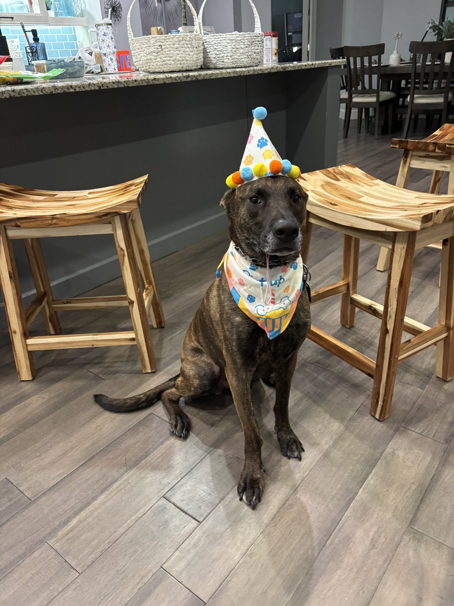 Layla Collins tweet media