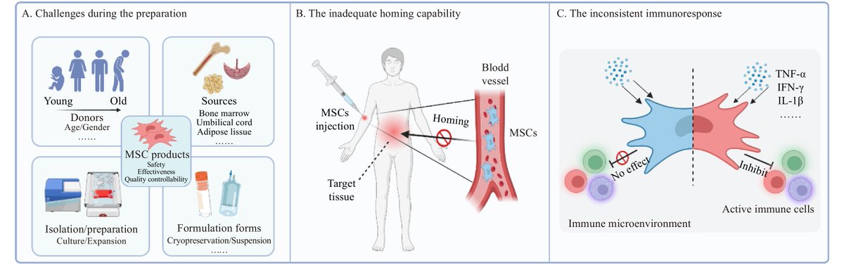 Chinese Journal of Natural Medicines tweet media