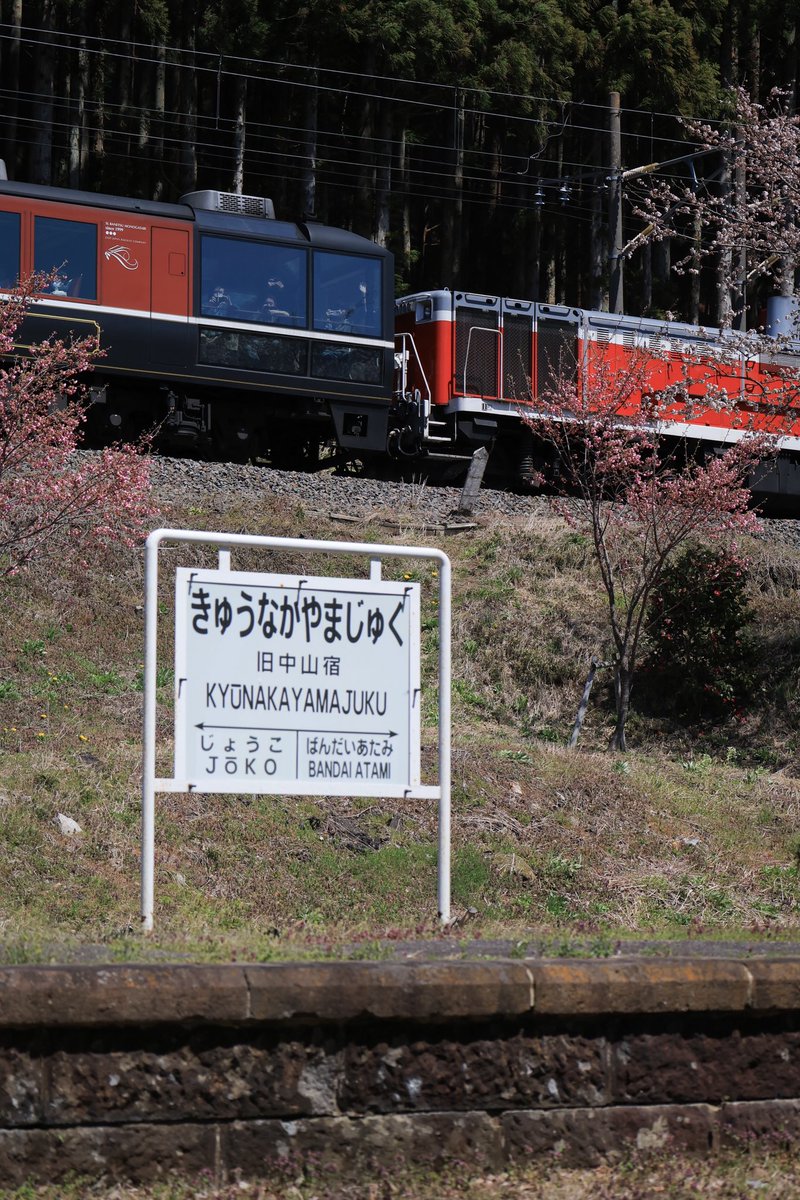 エ,,ビフライ tweet media