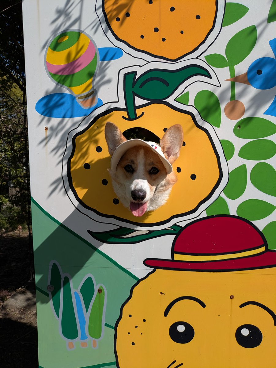 首領ヒデヨシ tweet media