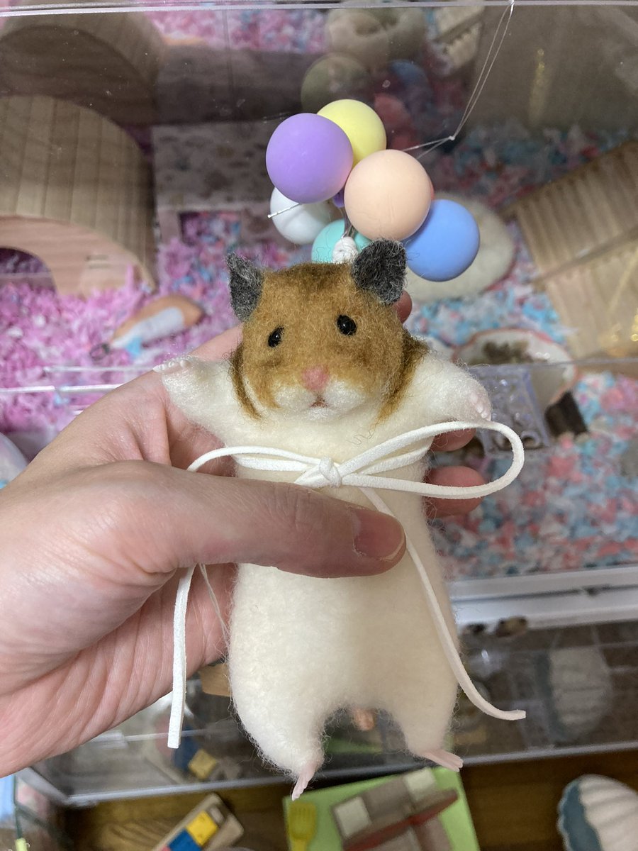 はむけつぷりっつ🍑 tweet media